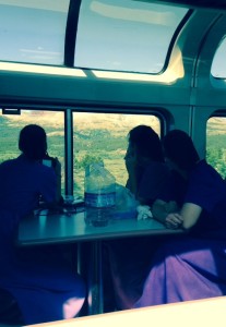 Women in purple in dome car