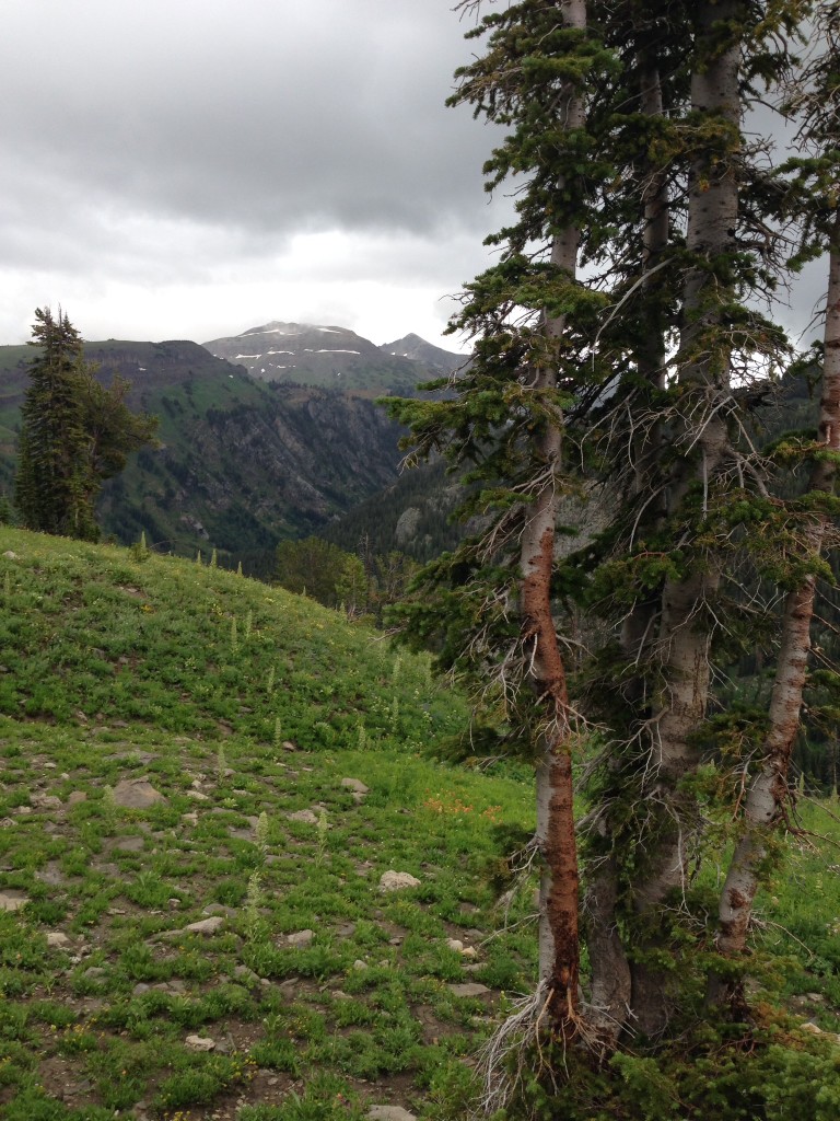 DeathCanyonShelftrail